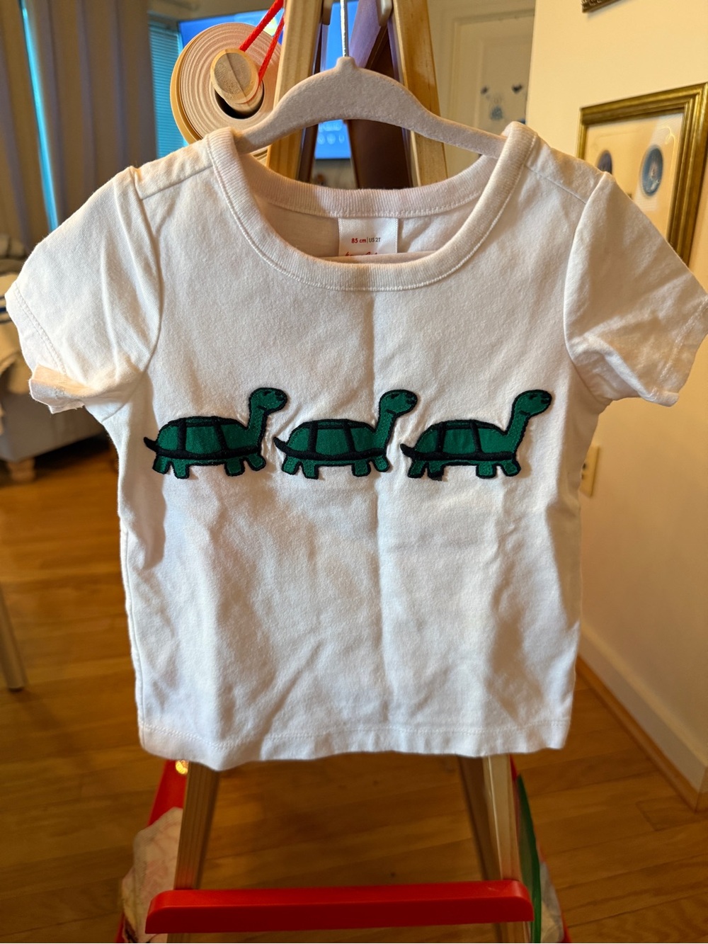 Hanna Andersson Turtle Appliqué Organic Cotton T-Shirt White Toddler 2T